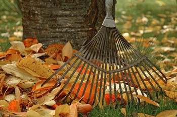 L'entretien d'un petit jardin en automne